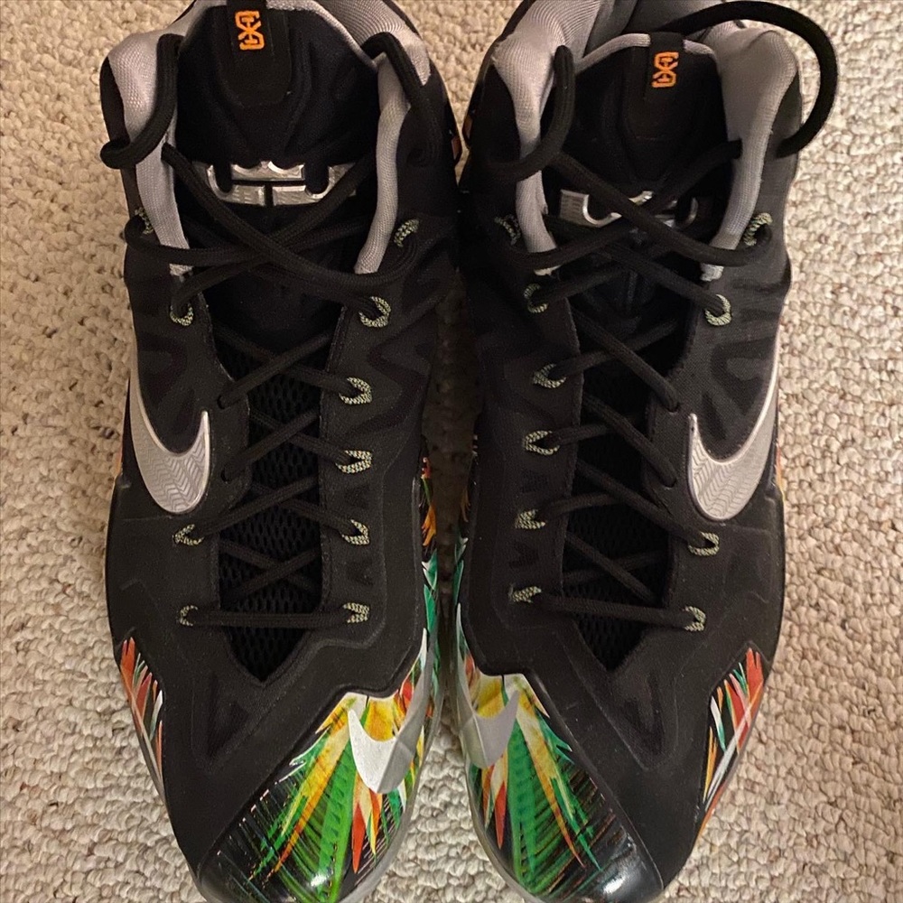 LeBron 11